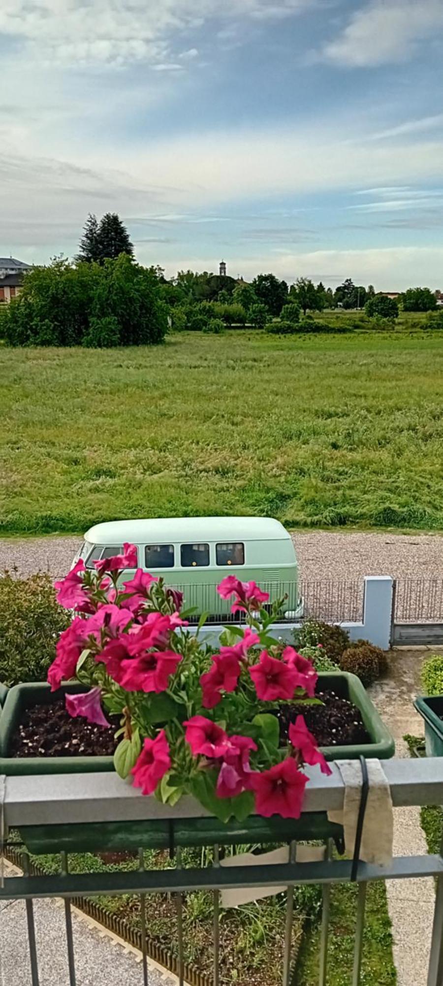 Frühstückspension La Cjase Di Pieri E Vilme *